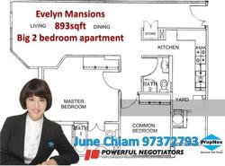 Evelyn Mansions (D11), Apartment #132311632